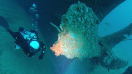 Tech Dive Romagna