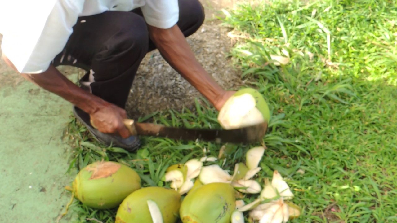 Cutting a jelly coconut