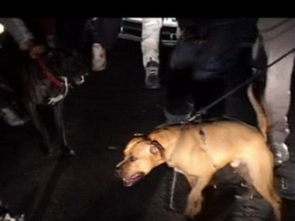 COULISSES CLIP BANG! BLACK V.NER RAP