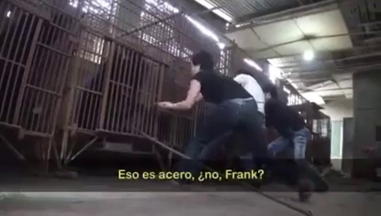 Frank de la Jungla denuncia el comercio de bilis de oso