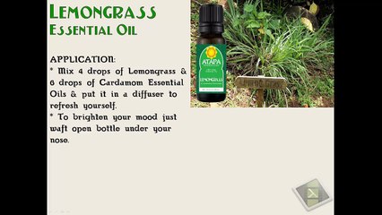 Essential Oils   Therapeutic Grade Therapy How To Video Training