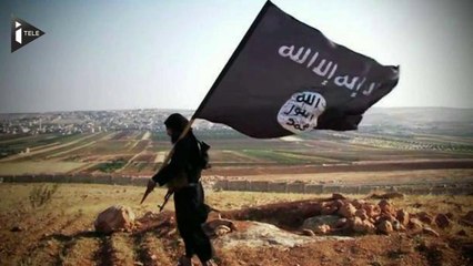 Les enfants perdus du djihad