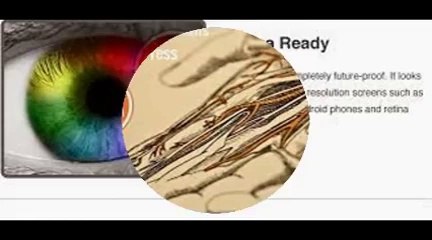 BuddyPress Development Services in CrowdFinch