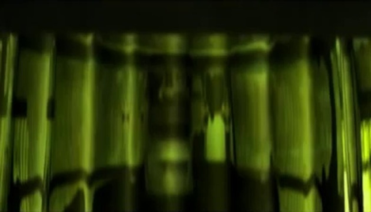 Stalker Shadow Of Chernobyl [FIN n°6 - participation à la conscience C]