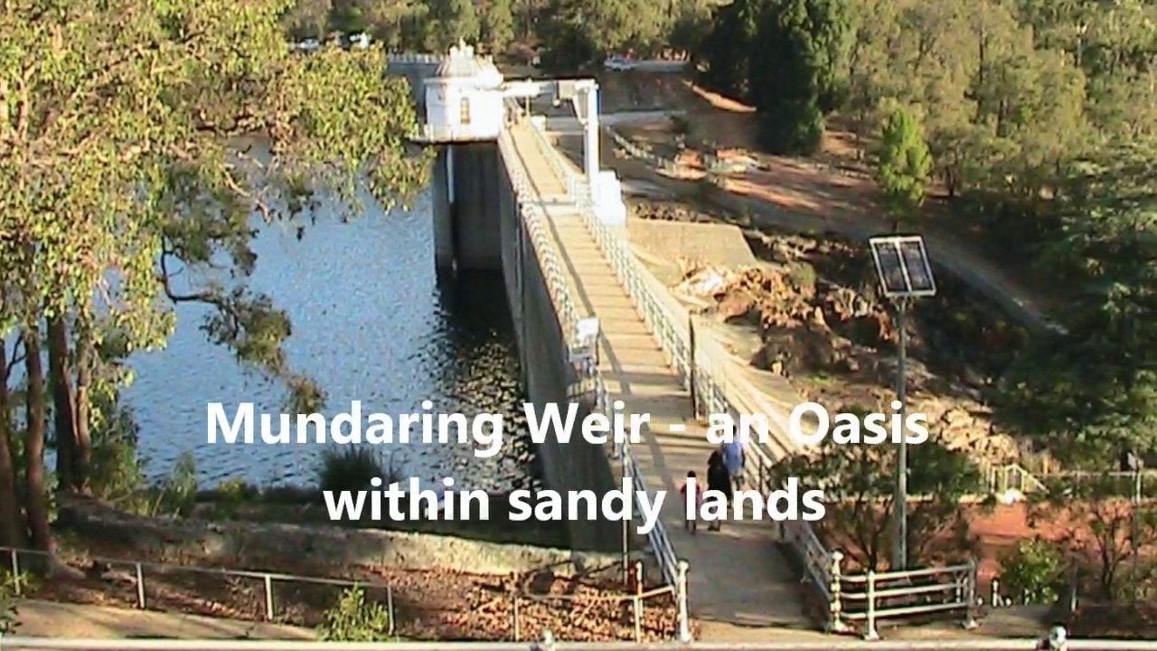 Tourist Attraction, Kangaroos at Mundaring Weir - Perth, Western Australia Holidays