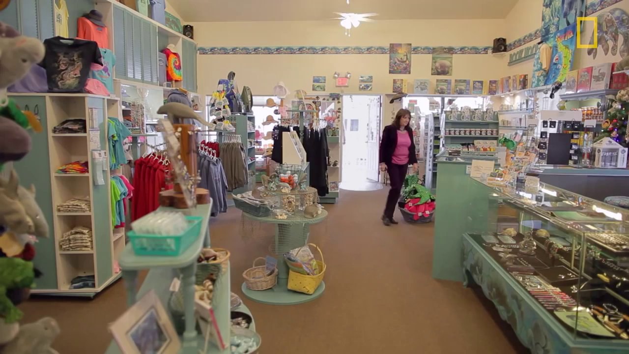 Les lamantins en voie de disparition...