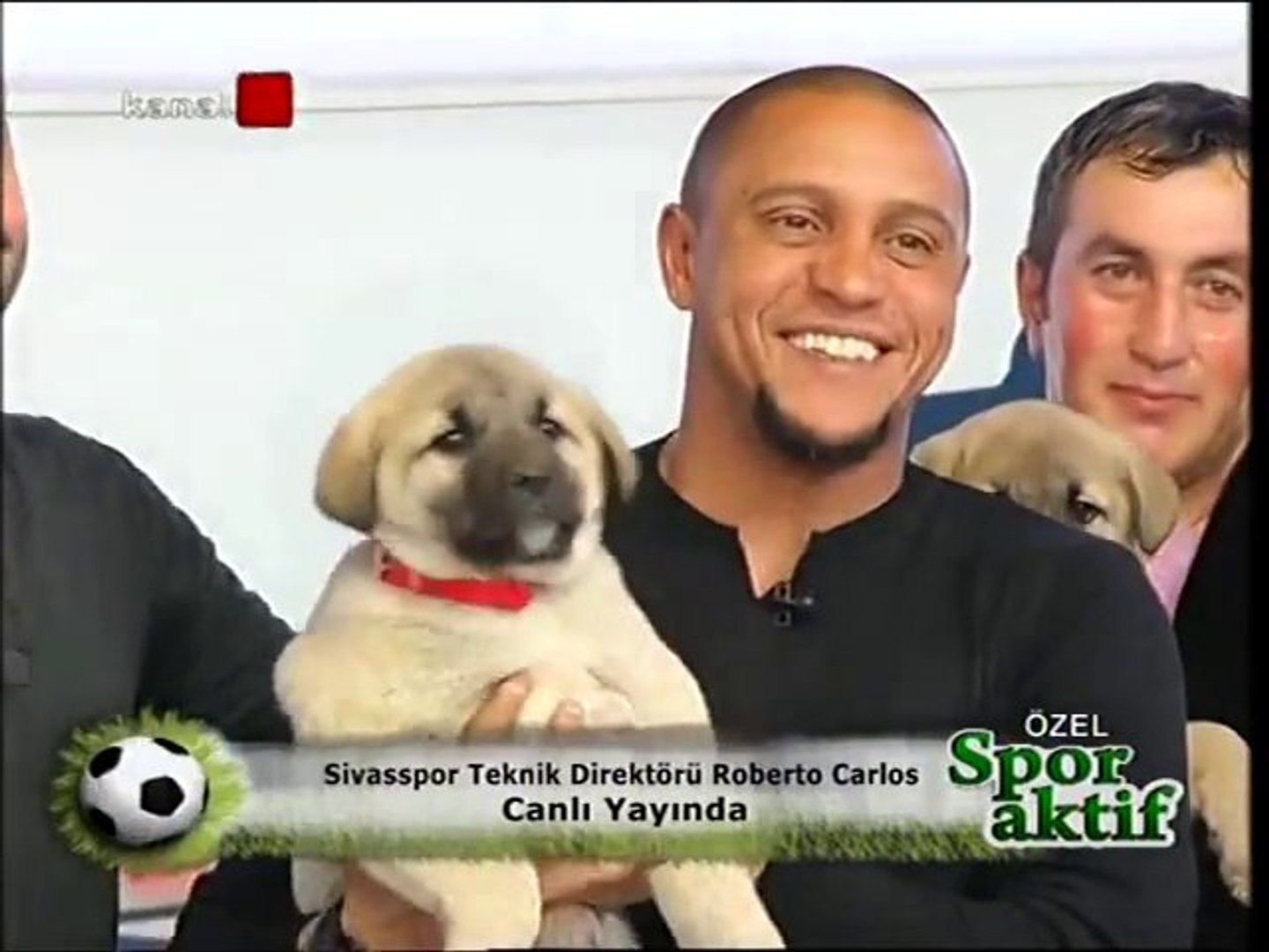 Roberto Carlos A Kangal Kopegi Hediye Edildi Dailymotion Video