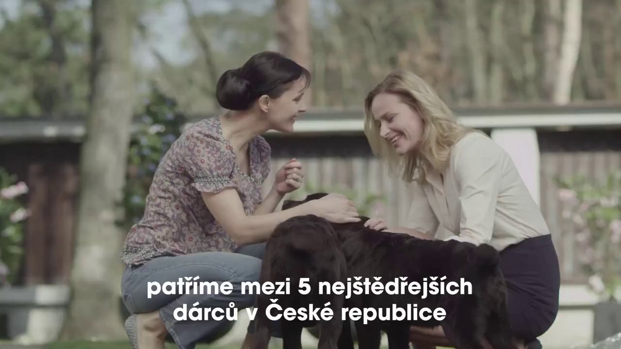 Provident korporátní TV spot 2014