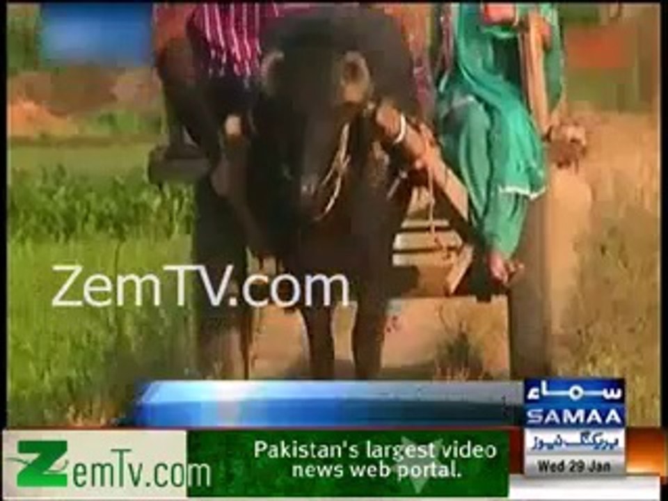 FaceBOOK Love Story...American woman felt in love with Indian Farmer & now both are living in village
