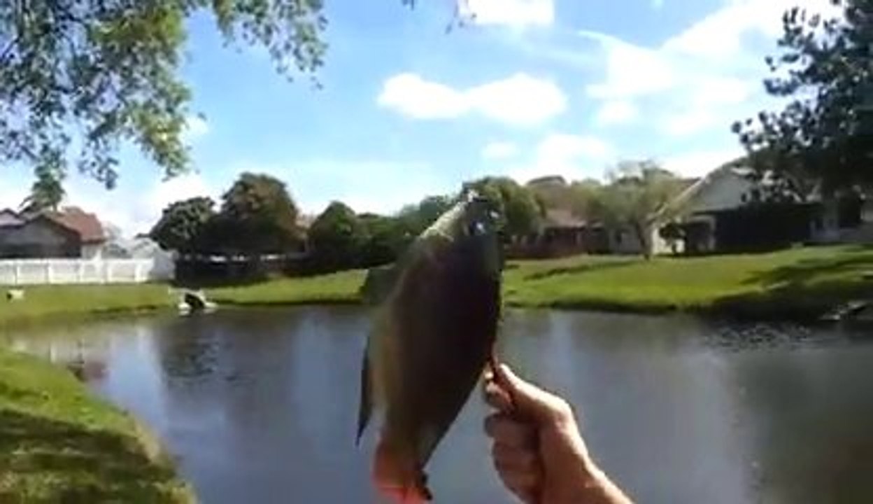 Un gars pêche à l'Arbalète... taré!