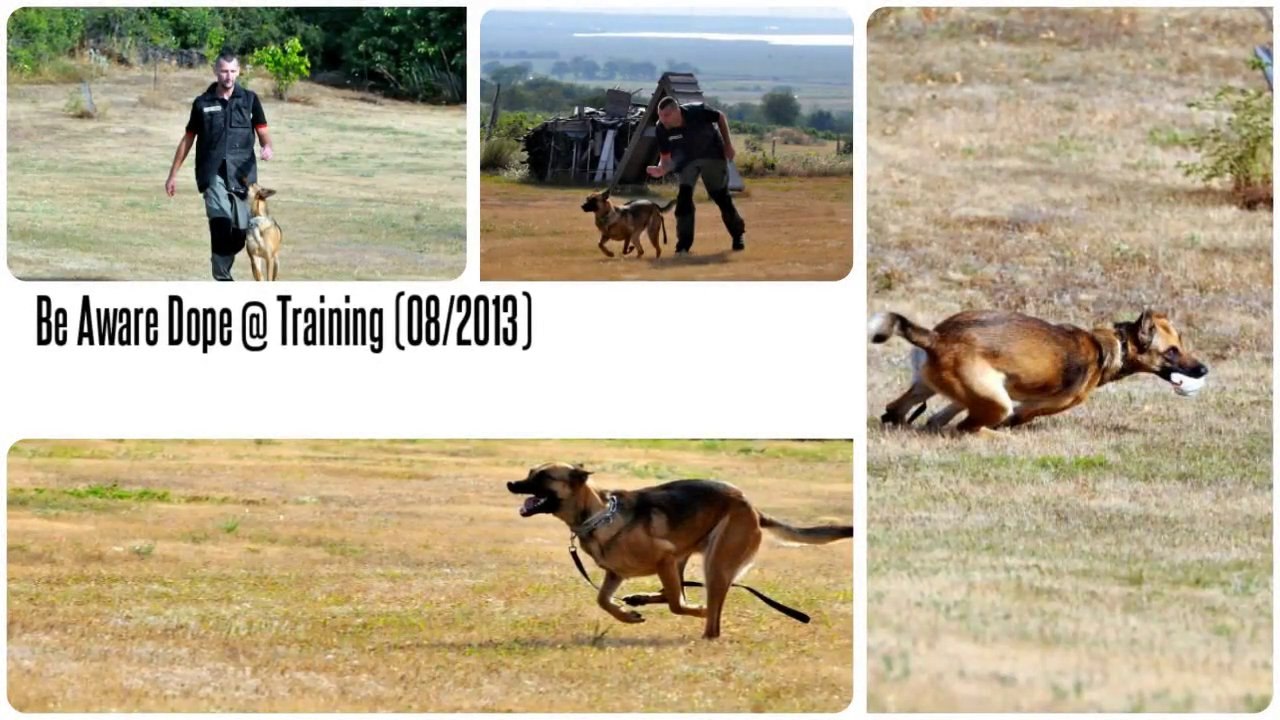 Be Aware Dope @ Training (10.08.2013)