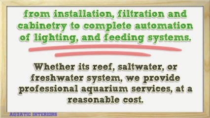 Aquarium Service San Antonio