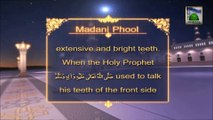 Madani Phool Noor (English) 13 - The Blessed Mouth