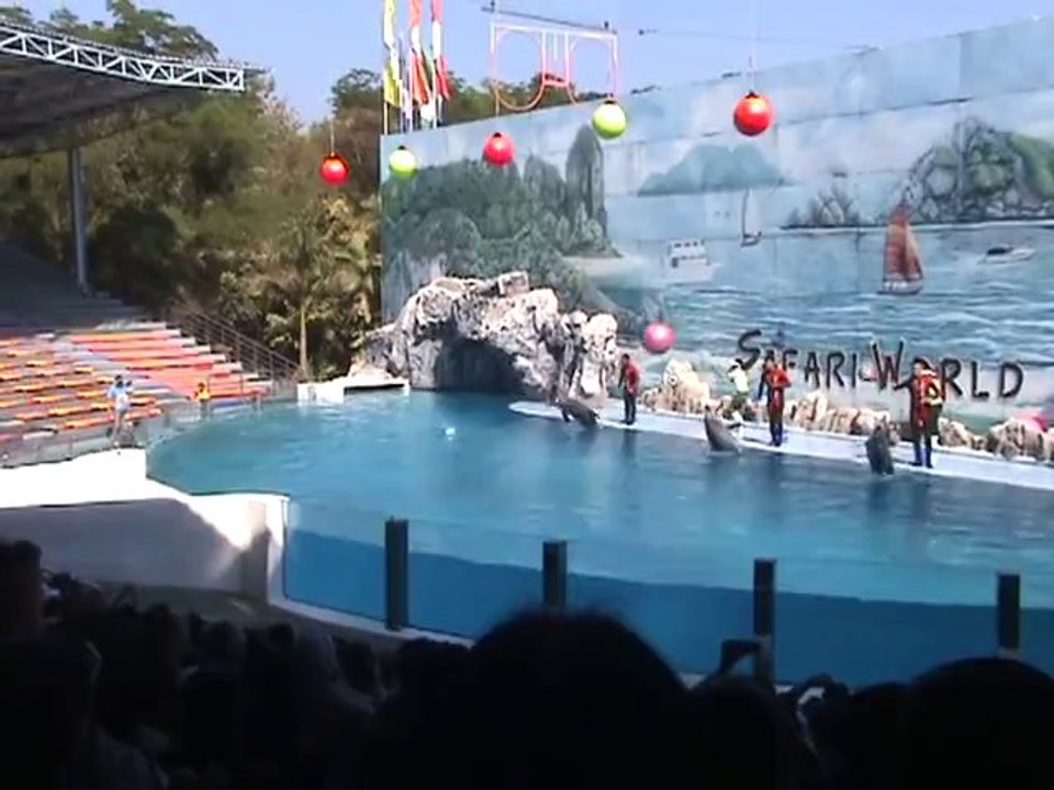 Dolphin Show SAFARI WORLD 10 DECEMBER 2011