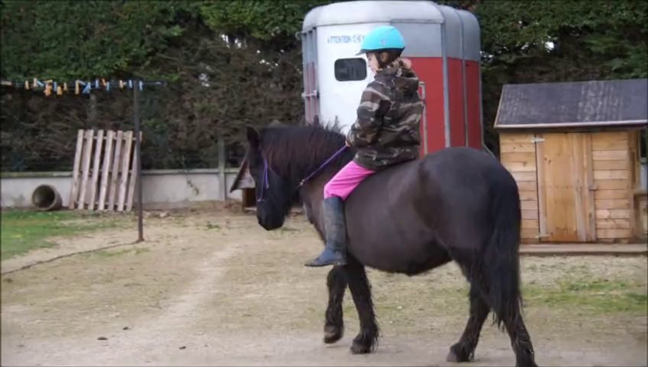 jiji et jade en licol