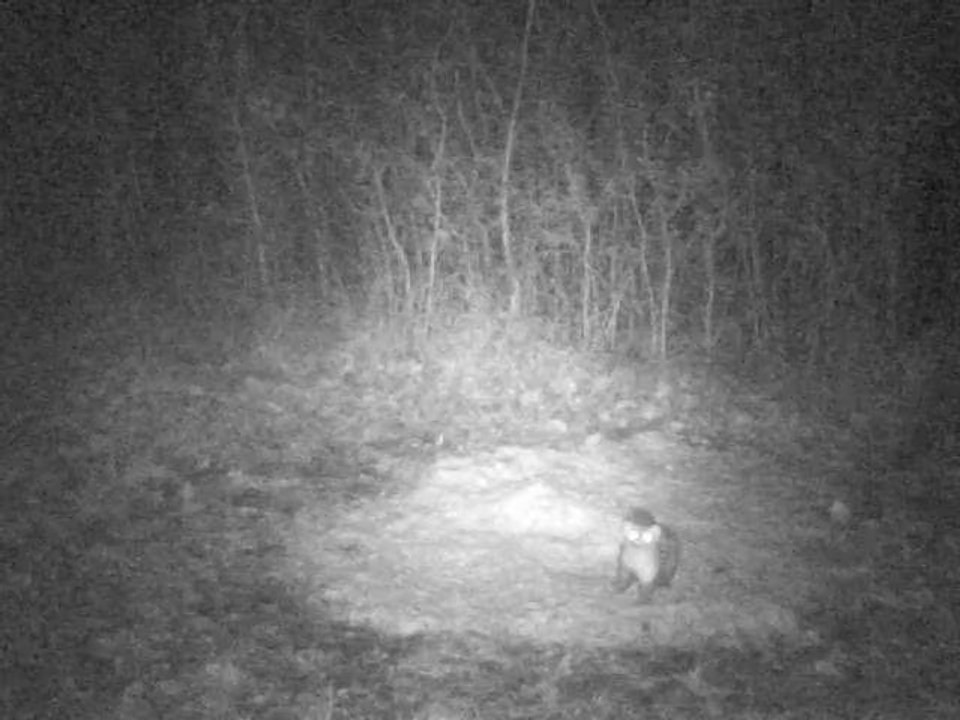 PICT0003 28/01/2014 à20h44