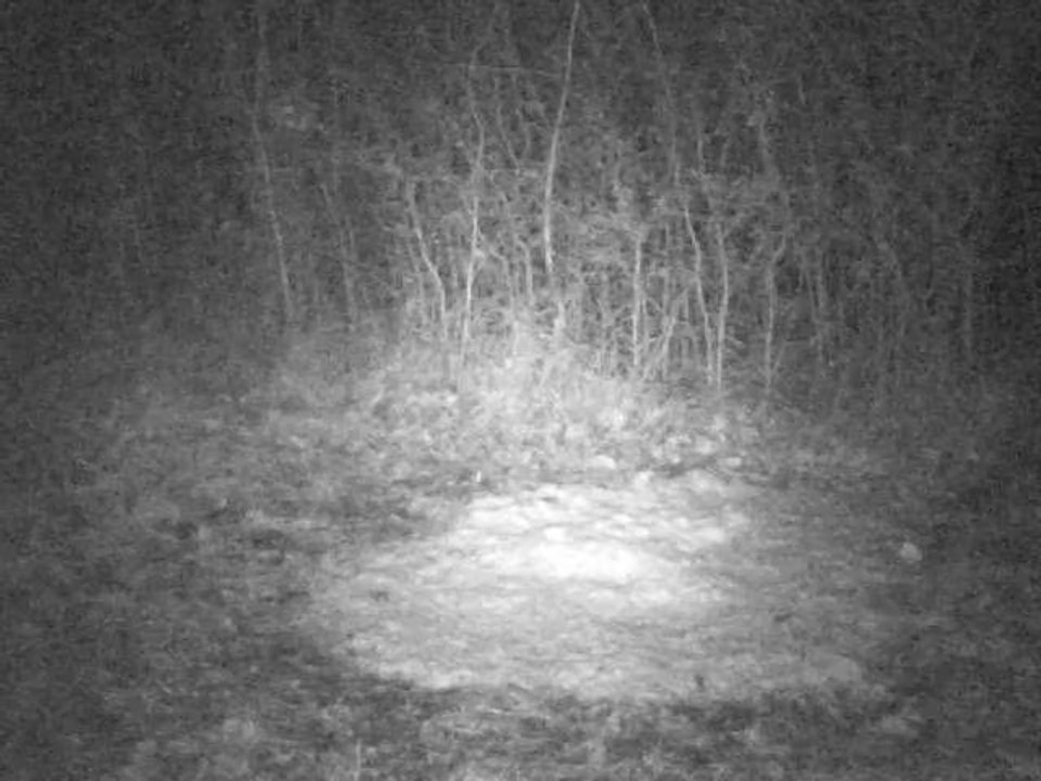 PICT0004 28/01/2014 à22h23