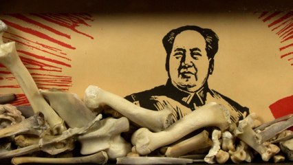 PAPIERS de la révolution culturelle chinoise 1966-1969