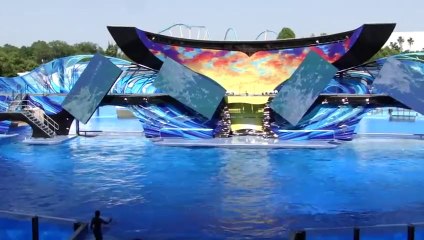 SeaWorld Orlando's  One Ocean  Show - OPENING DAY (Full Show)
