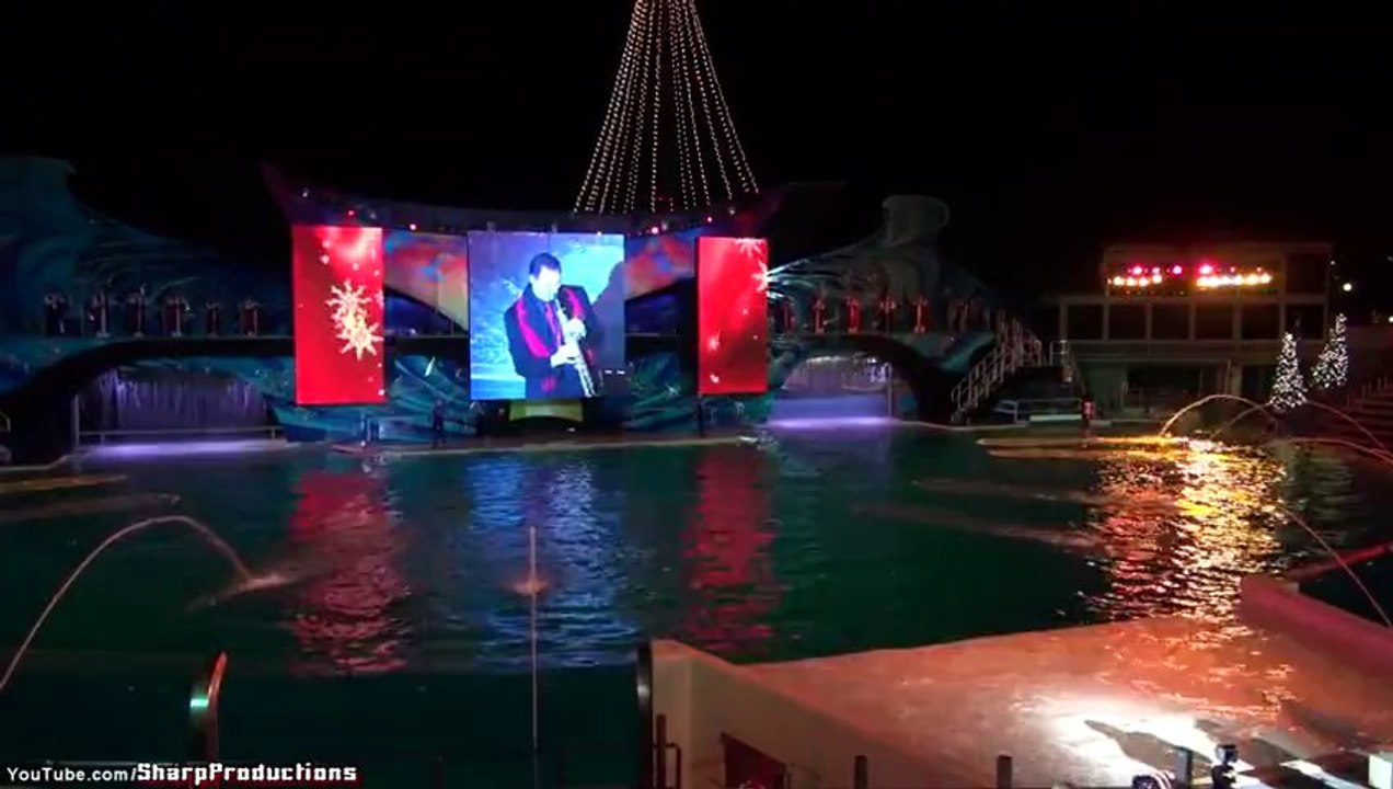 Shamu's Christmas at SeaWorld San Diego