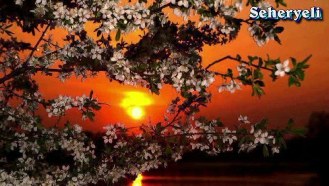 ♪♪♪ Saba Kanun Taksimi