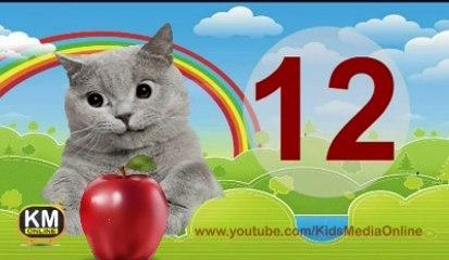 Count 1 to 20 Learning For Toddlers and Preschool Children