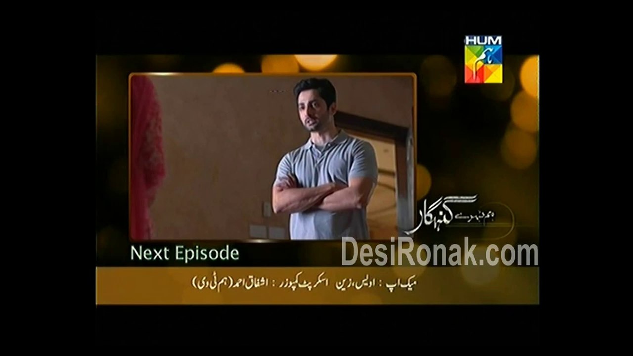hum part 3 11