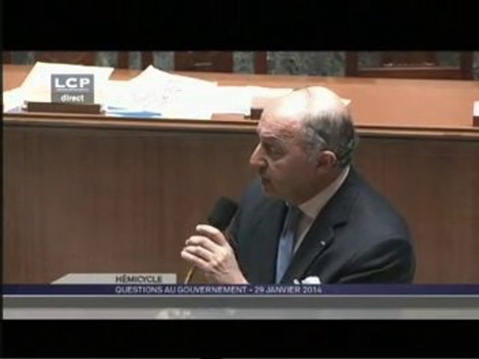 Turquie : Laurent Fabius répond à une question à l'Assemblée nationale (29/01/2014)