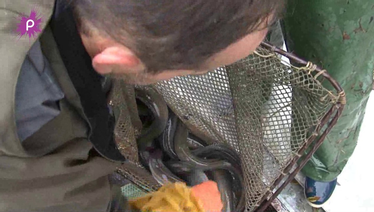 A la pêche à l’anguille dans la Loire!