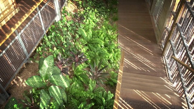 Confort thermique : économies d'énergie, c'est possible en Guadeloupe ?