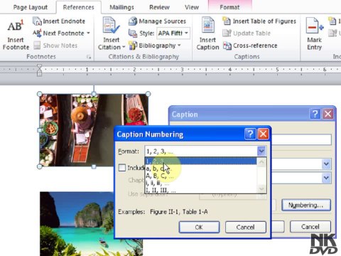 Lesson 86 Insert Caption Part 1 (Microsoft Office Word 2007_2010 Free Tutorial Urdu Hindi Video Training taleem.tv Pakistan Education