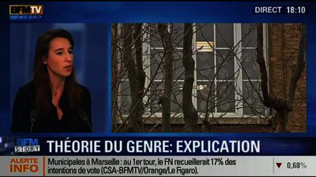 BFM Story: La théorie du genre n’existe pas , Réjane Sénac - 29/01
