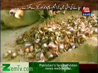 Khufia (Chai Ki Chushti....Ya Phir Mout Ki Kushti) – 29th January 2014