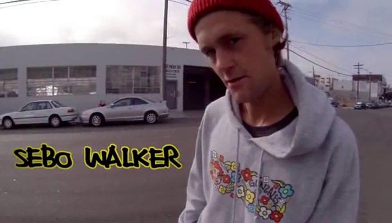Sebo Walker Turf Killer
