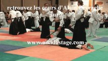 Aïkido traditionnel à Nancy avec Alain PEYRACHE Shihan