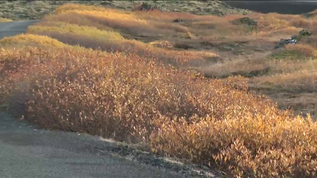 Essai Hyundai Santa Fe 2.2 CRDi 197 4WD Pack Premium Limited BVA