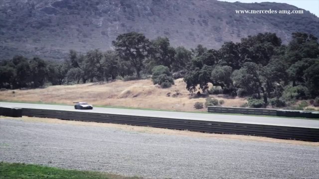 Mercedes SLS AMG GT3 45th Anniversary