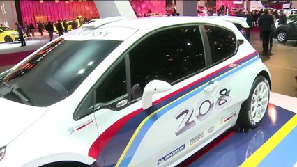 Peugeot 208 Type R5 - Mondial 2012