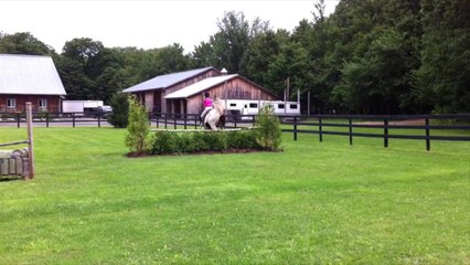 Cheval à vendre ! Montréal (Mirabel)