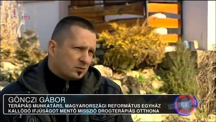 Kekfeny.2013.03.04.DVBrip.XviD.Hun-ufo