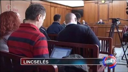 Kekfeny.2013.02.11.DVBrip.XviD.Hun-ufo