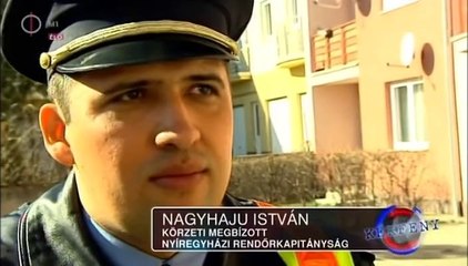 Kekfeny.2013.03.11.DVBrip.XviD.Hun-ufo