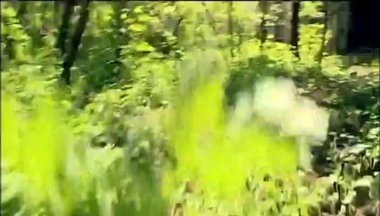 Kekfeny.2013.04.29.DVBrip.XviD.Hun-ufo