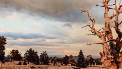 Une pluie de météores en time lapse
