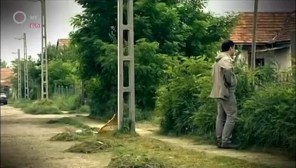 Kekfeny.2013.06.10.DVBrip.XviD.Hun-ufo