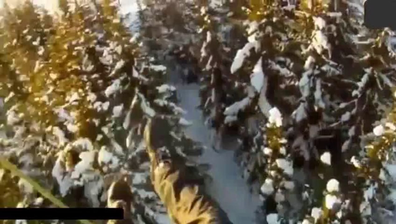 best video 2014 vol  3