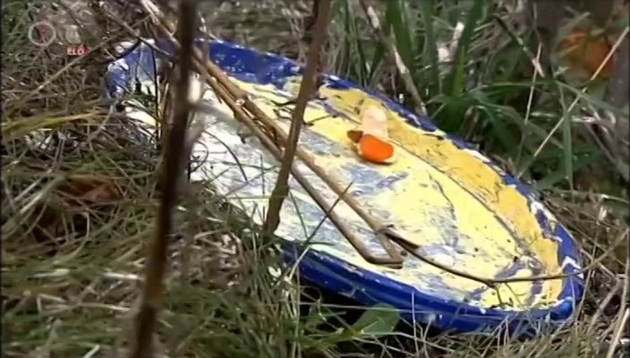 Kekfeny.2013.12.16.DVBrip.XviD.Hun-ufo