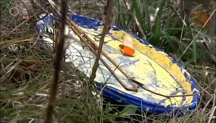 Kekfeny.2013.12.16.DVBrip.XviD.Hun-ufo