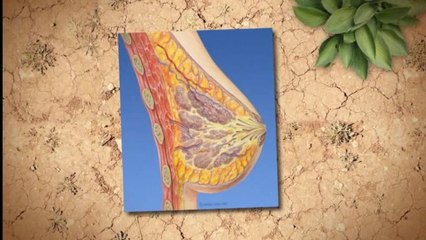 Breast Augmentation Cost