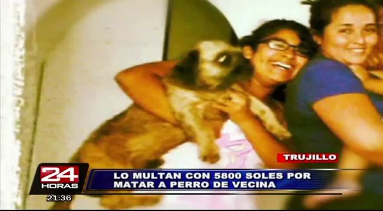Trujillo: multan con casi 6,000 soles a sujeto por matar a un perro